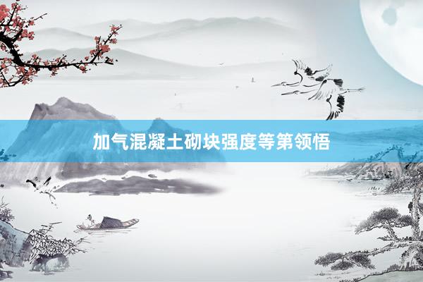 加气混凝土砌块强度等第领悟